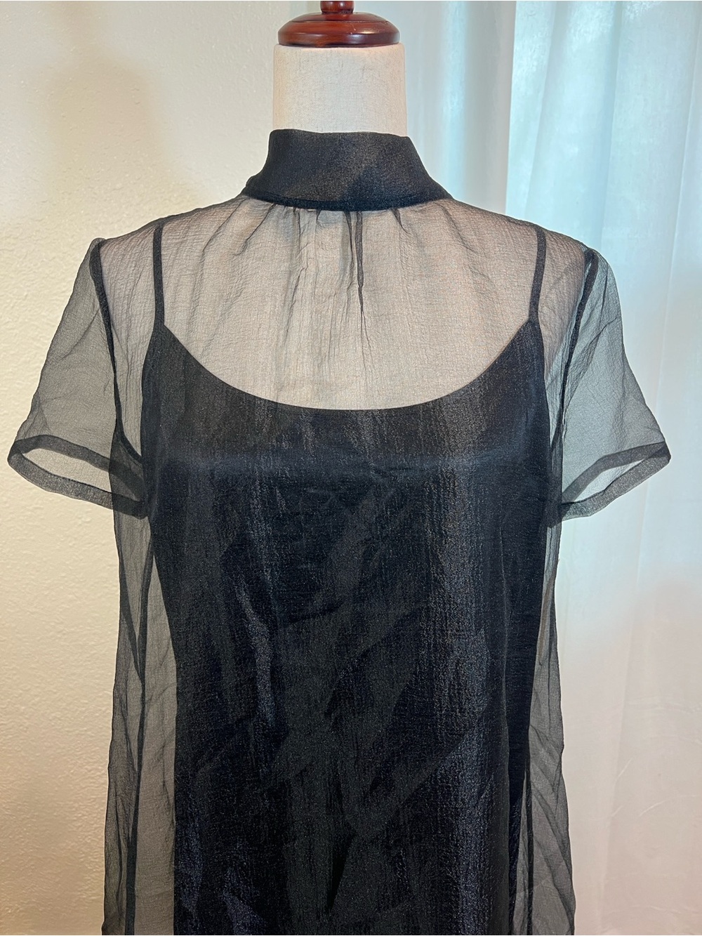 Caara Melody Black Sheer Ruffle-Hem Maxi Dress. Size XS. NWT - Picture 6 of 16